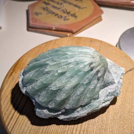 PXL_20240229_162204894